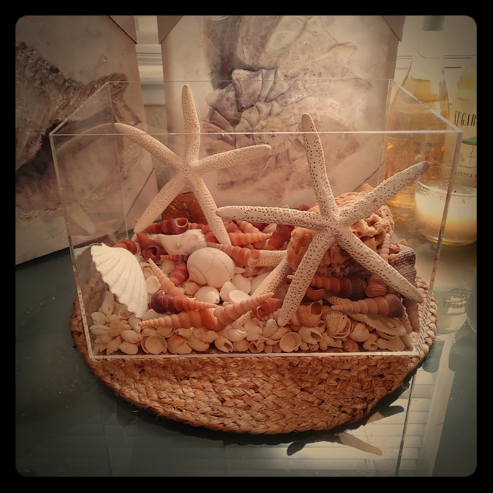 Beach Decor Seashell Tank
